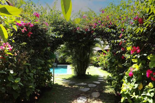 a garden with a tree with flowers and a pool at Bingin Bienvenue Guest House in Uluwatu