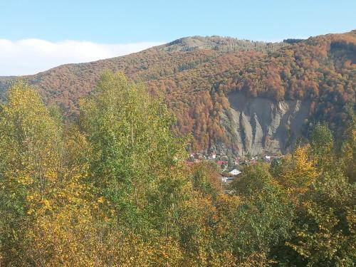 una piccola cittadina in mezzo a una montagna di Villa Gold a Jaremče