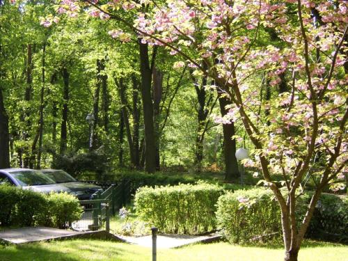 A garden outside Tillmanns-Haus