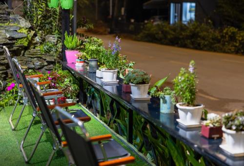 une grande table avec des chaises et des plantes en pot dans l'établissement Sapa TT Homestay, à Sa Pa