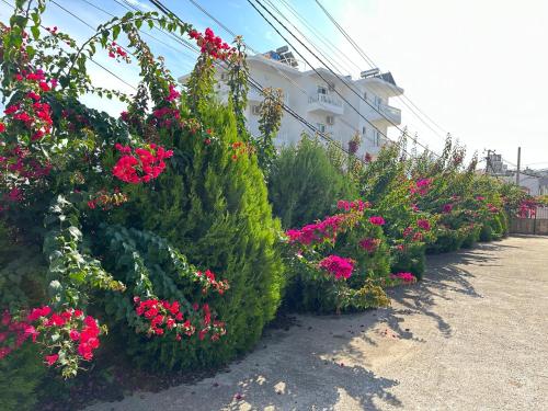 A garden outside Villa Nicolaos Ksamil