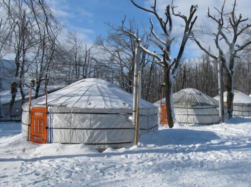 duas cúpulas estão cobertas de neve com árvores em Dobogókő Jurtaszállás em Dobogoko