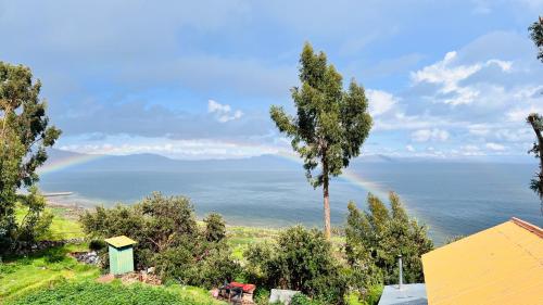 una vista del océano con una palmera en Casa munay lodge - Fernanda, en Puno