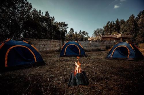 Fotografija u galeriji objekta Prestige nature homestay u gradu Avathi