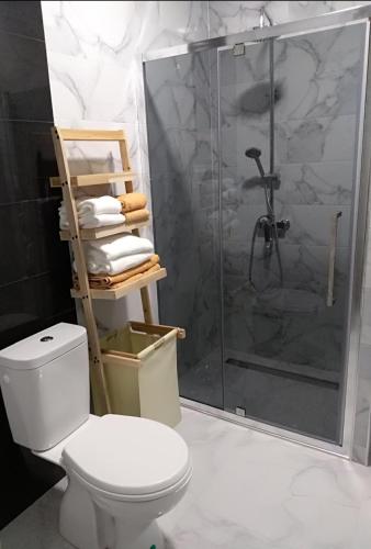 y baño con aseo y ducha acristalada. en Aurelia apartman, en Vinkovci