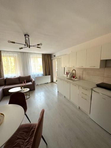 Una cocina o kitchenette en Apartament Biały Kamień