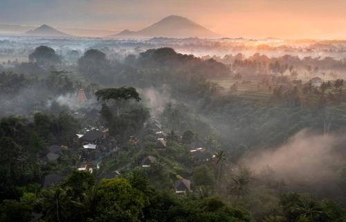 Sanna Ubud A Pramana Experience في أوبود: وسط غابه في الضباب