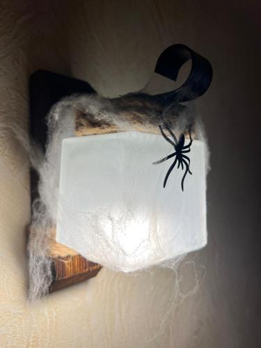 a light with a spider on the side of it at Стильні та просторі апартаменти «D.І.М.» in Kamianets-Podilskyi