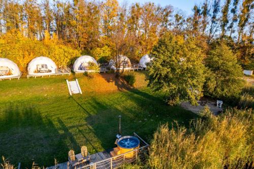 A garden outside Lake Glamp Mikołajki - Adults Only