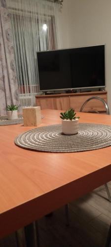 una mesa con TV y dos macetas. en Domki Letniskowe oraz Chata Grillowa " Nad Zalewem "Bliżyn, en Bliżyn