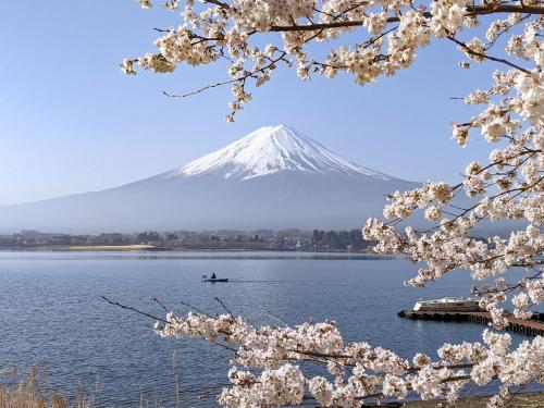 aizuakuraakura tak met fuji berg op de achtergrond met akuraakura boom bij Kumonoue Fuji Hotel Premium room - No Mt Fuji view with open-air bath in Fujikawaguchiko