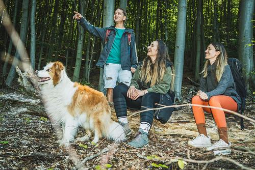 Pet ou pets ficando com hóspedes em MátraTea Elvonulóház