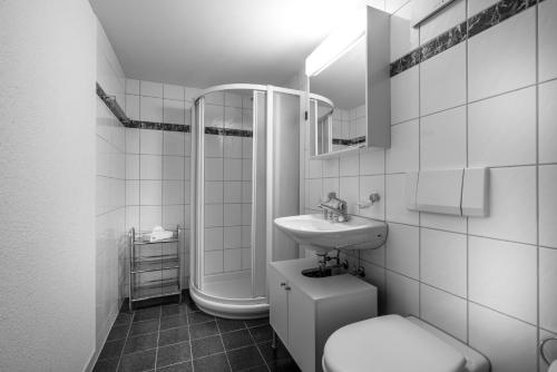 a bathroom with a sink and a shower and a toilet at Airhome Zug Neugasse Stadtzentrum in Zug