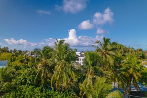 Natural landscape malapit sa hotel