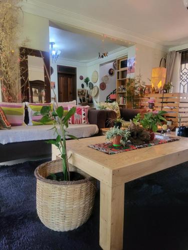 Kampala şehrindeki Aivilo Home tesisine ait fotoğraf galerisinden bir görsel