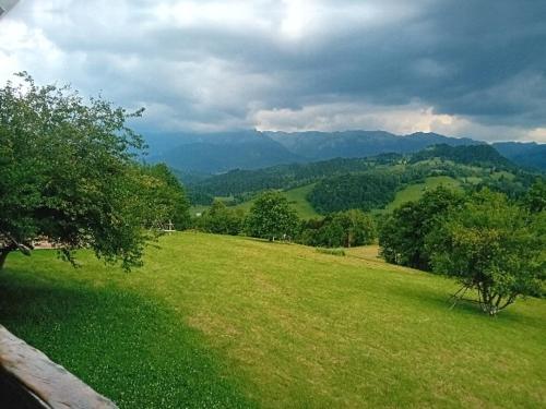 Un paisaje natural cerca del complejo de cabañas