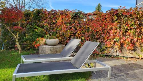 En hage utenfor Ferienwohnung am Bruchwald