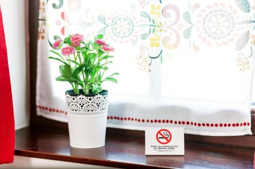 a potted plant sitting on a shelf next to a window at Willa Jordanówka in Czorsztyn