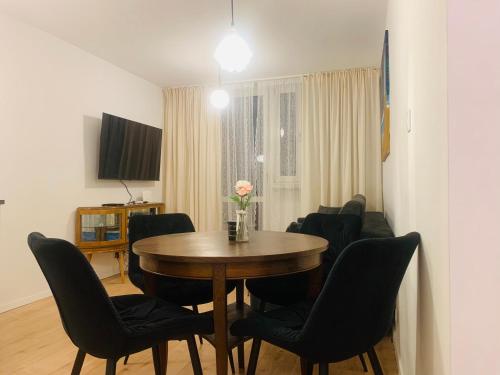 Apartament Teatralny Opole में टेलीविजन और/या मनोरंजन केंद्र