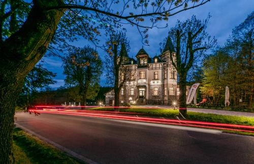 Nuotrauka iš apgyvendinimo įstaigos Hotel Švýcarský dům mieste Sněžnik galerijos