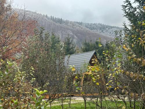 una cabina in mezzo a un campo alberato di U Yaroslava Hotel a Jaremče