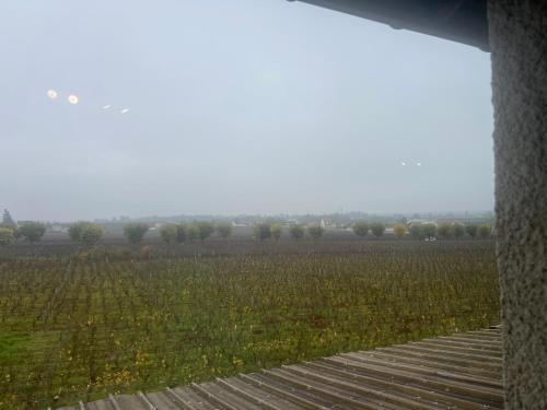 einen Blick auf ein Feld aus einem Fenster in der Unterkunft Appartement au pied des Vignes in Vosne-Romanée