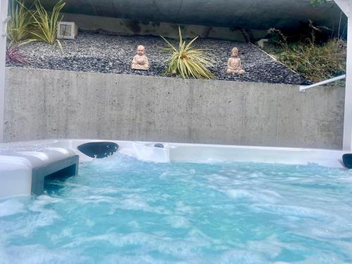 Poolen vid eller i närheten av Alynes 2 Villa individuelle, piscine, spa, sauna panoramique