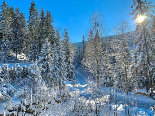 Haus Widmann durante el invierno