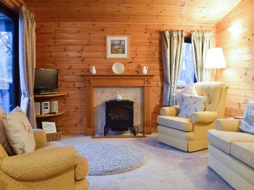 een woonkamer met een open haard, stoelen en een tv bij Fern Lodge- Burnside Park in Keswick