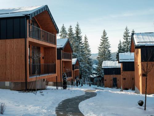 una fila di edifici in legno nella neve di Phoenix Relax Park a Bukovel