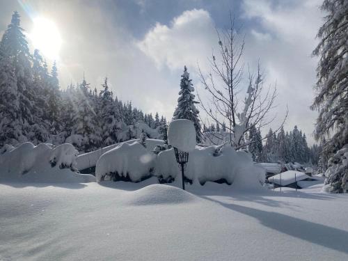 um quintal coberto de neve com o sol ao fundo em Appartementhaus Hochkönig - Panoramablick em Mühlbach am Hochkönig