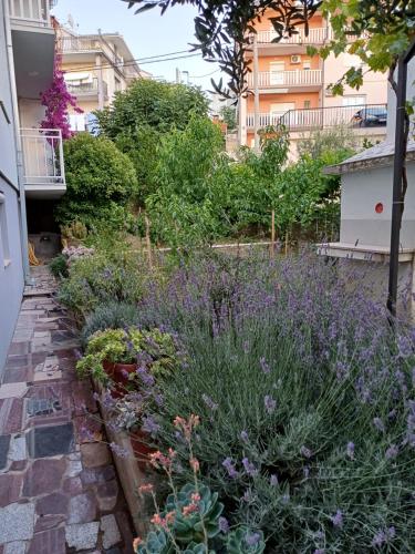 um jardim com flores e plantas roxas em Apartment Sano em Podstrana