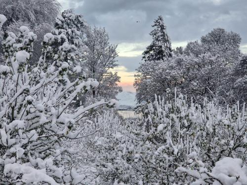 un champ enneigé avec des arbres et un coucher de soleil en arrière-plan dans l'établissement Roberts’ Cottage, à Westport