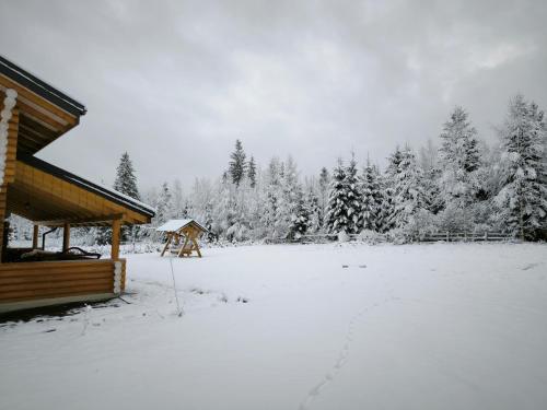 Шале Вілія kapag winter