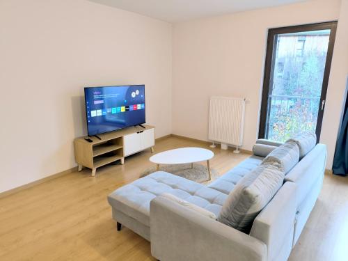 salon z kanapą i telewizorem w obiekcie Appartement entier 56 m2 aux portes de Genève w mieście Viry