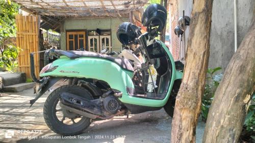 Galeri foto Nadil Homestay di Kuta Lombok