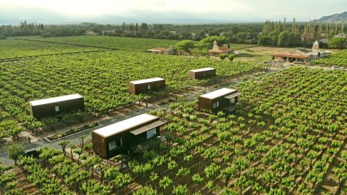 eine Luftansicht eines Weinbergs mit Gebäuden auf einem Feld in der Unterkunft El Porvenir Wine Lodge in Cafayate