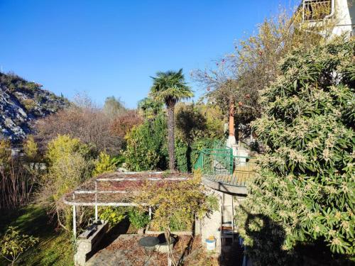 vistas a un jardín con palmeras en Apartman Maida, en Blagaj