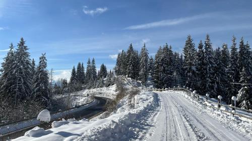 ヤブルニツァにあるКотедж Краєвидの雪道