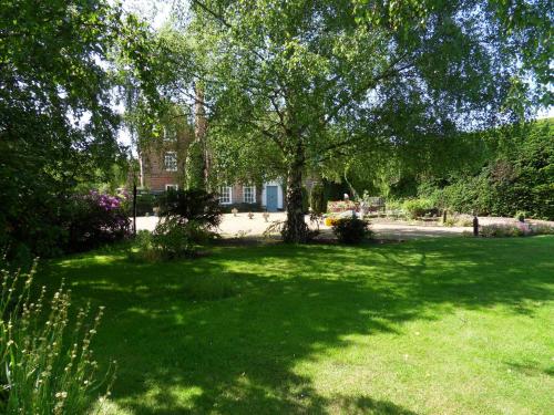 a tree in the middle of a green yard at Mangreen Country House in Norwich