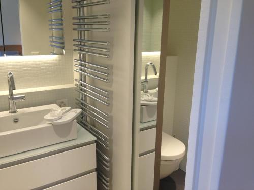 A bathroom at Carouge Loft Apartment