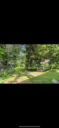 A garden outside Rooms with Wifi and TV