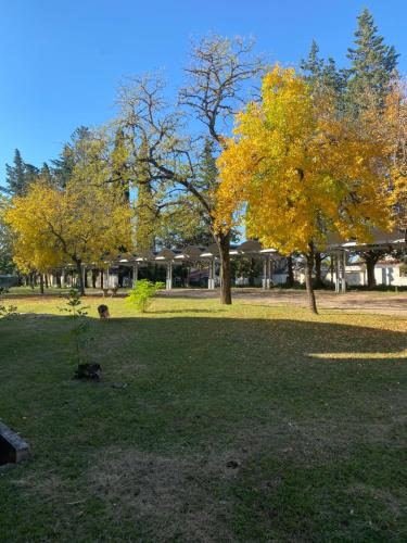 un parco con alberi con foglie gialle sull'erba di Parque Hotel a Villa Carlos Paz