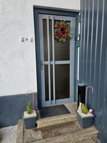 a blue door with two potted plants in front of it at Natalia in Leoben