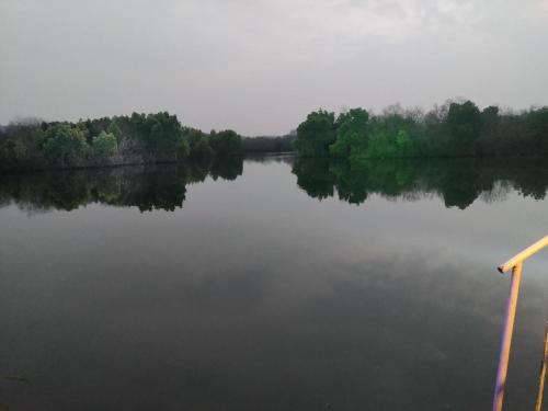 vistas a un lago con árboles en el agua en Serene Waters Homestay Goa, en Panaji