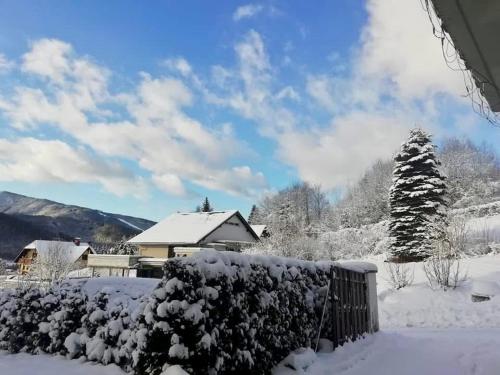 a house covered in snow with a fence at Tannenhof in Semmering