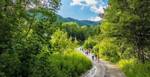 a group of people riding bikes down a dirt road at Tannenhof in Semmering