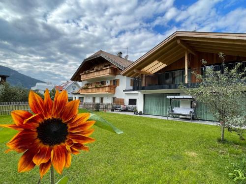 un girasole nel giardino di una casa di App Unterhoelzlhof - Chalet Anima a Valdaora