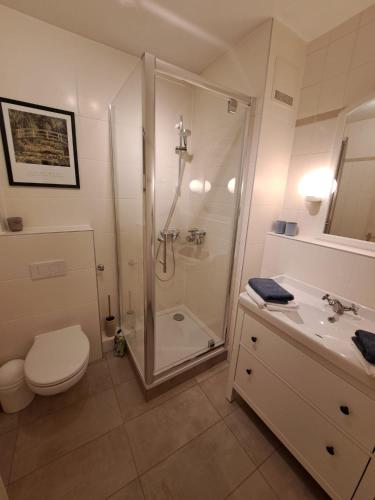 a bathroom with a shower and a toilet and a sink at Harzgeist in Goslar