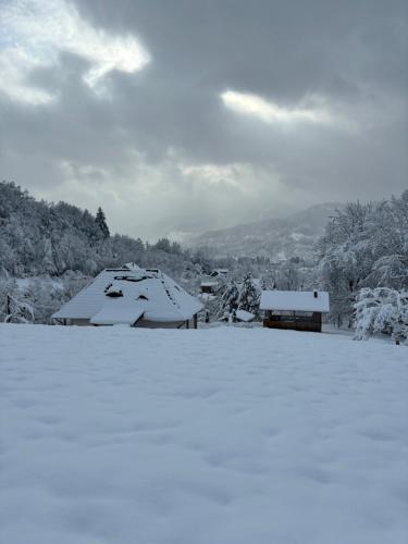 ein schneebedecktes Haus auf einem Feld in der Unterkunft Casa Berg in Vişeu de Sus